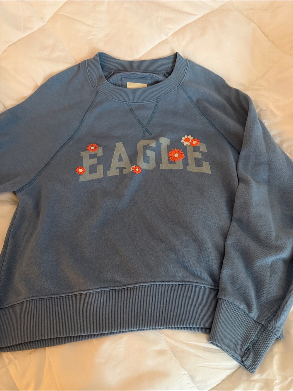 American Eagle Light Blue Knit Sweatshirt